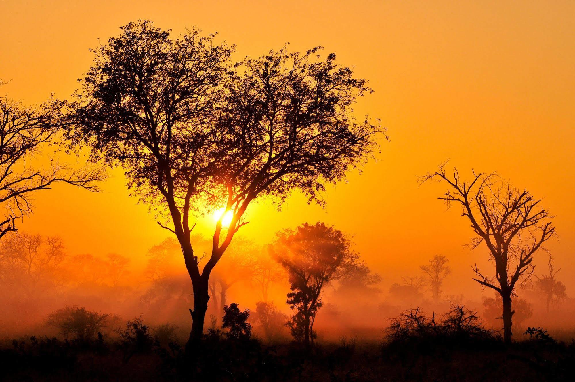 Metsi Inyati Game Lodge المظهر الخارجي الصورة