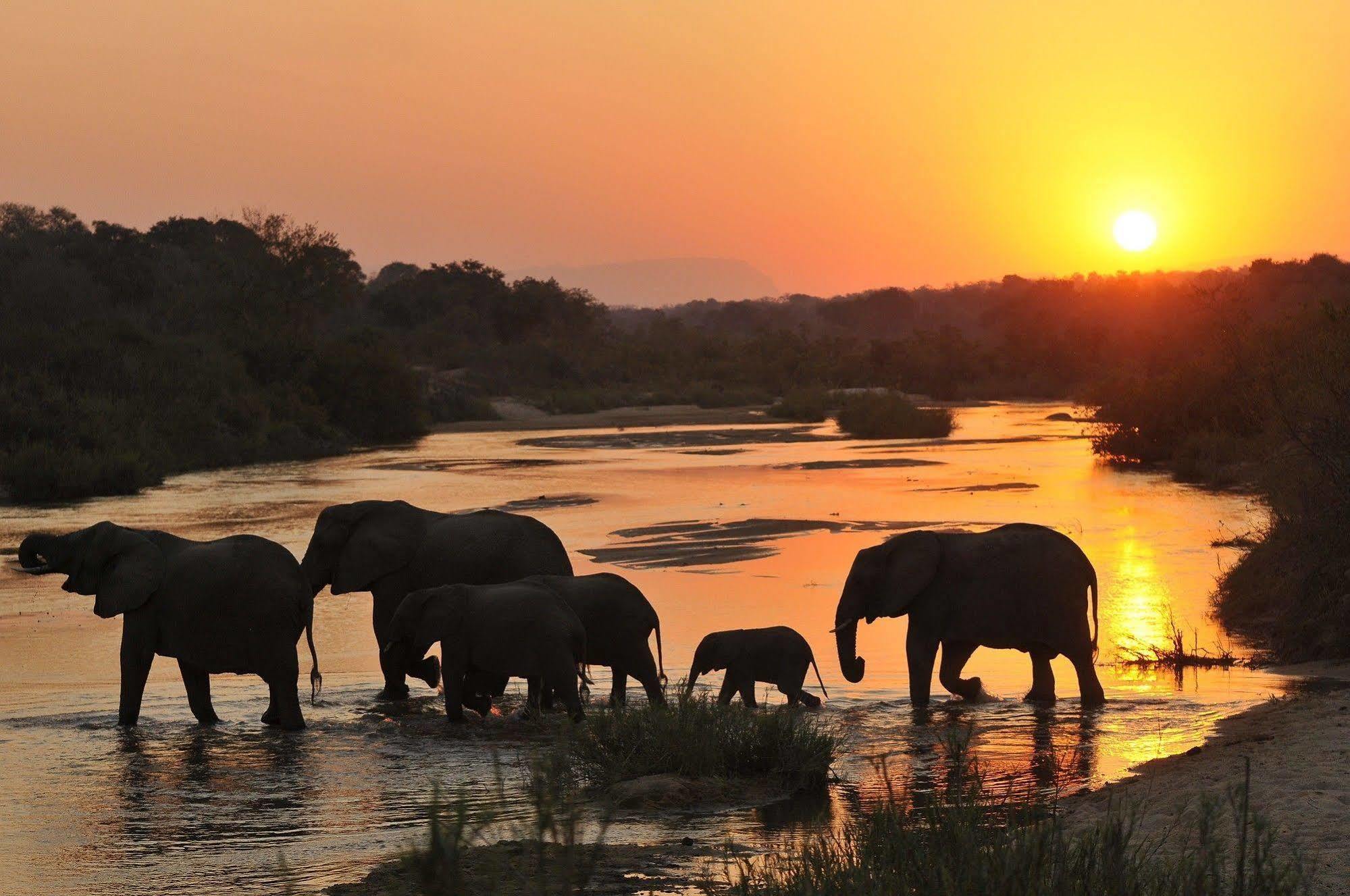 Metsi Inyati Game Lodge المظهر الخارجي الصورة